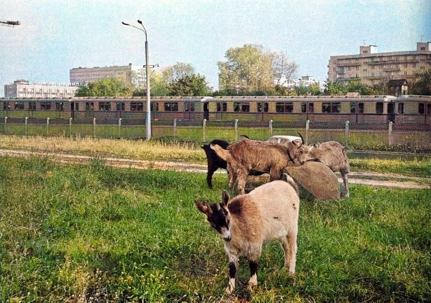 теґ Транспорт